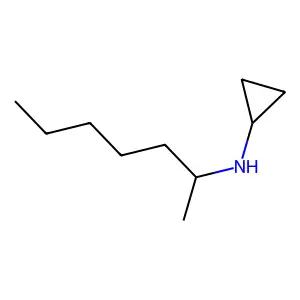 N-环丙基-1-甲基己胺 structure
