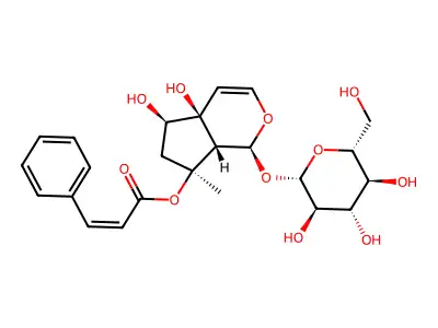 Harpagoside structure