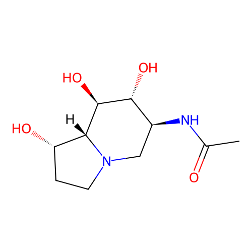 6-Acetamido-6-Deoxy-Castanospermine structure
