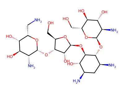 巴龙霉素 structure