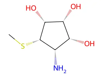 Mannostatin structure