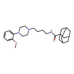 Nbump structure