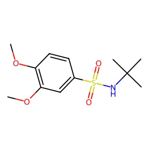 N-(tert-butyl)-3,4-dimethoxybenzenesulfonamide structure