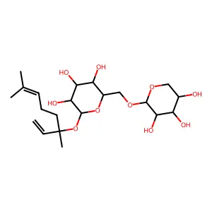 Neohancoside A structure