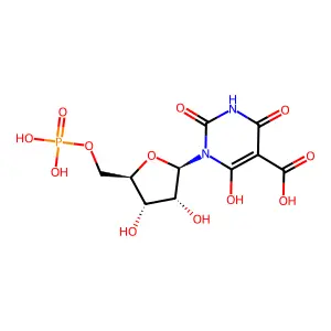 6-Oxouridine 5'-phosphate structure