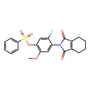 1H-Isoindole-1,3(2H)-dione, 2-(2-fluoro-5-methoxy-4-((phenylsulfonyl)oxy)phenyl)-4,5,6,7-tetrahydro- structure