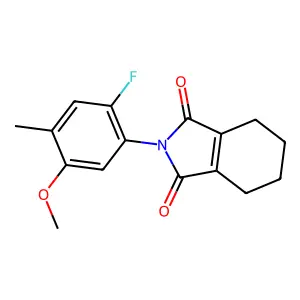 1H-Isoindole-1,3(2H)-dione, 2-(2-fluoro-5-methoxy-4-methylphenyl)-4,5,6,7-tetrahydro- structure