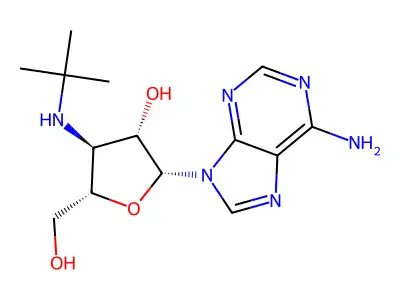 3'-(t-Butylamino)-3'-deoxyadenosine structure