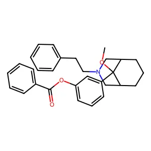 P 7556 structure