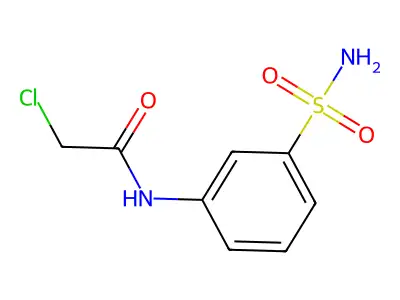 2-Chloro-N-(3-sulfamoylphenyl)acetamide structure