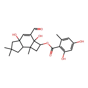Armillaritin structure