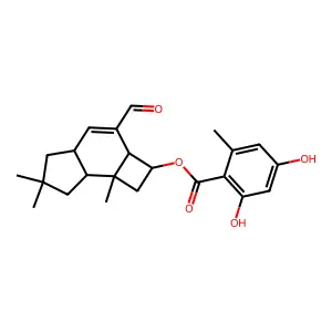 Armillarivin structure