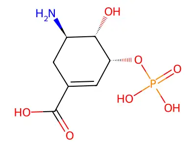 5-Asmp structure
