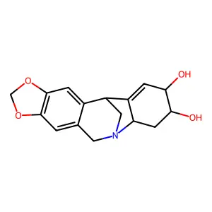 Brunsvigine structure