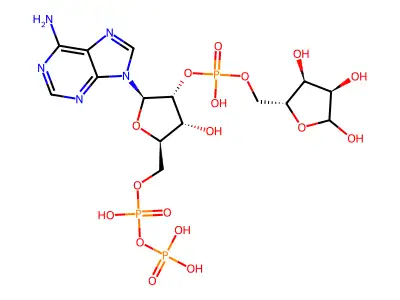 Phosphoadenosine diphosphoribose structure