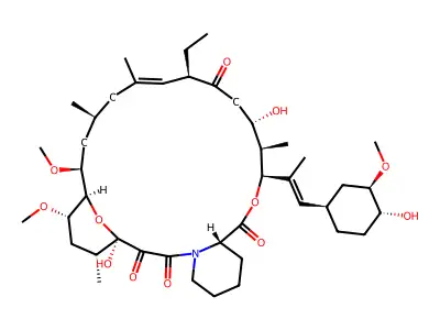 Ascomycin structure
