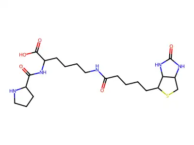 Biocytin-L-proline structure