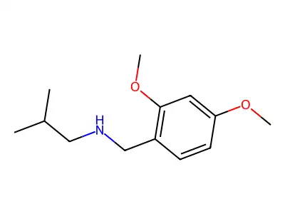 [(2,4-Dimethoxyphenyl)methyl](2-methylpropyl)amine structure