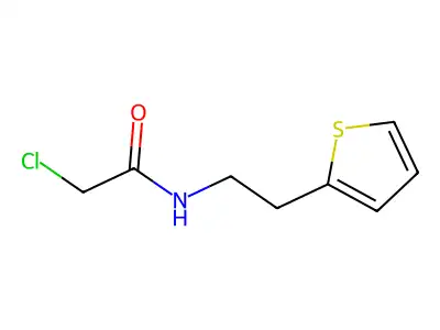 2-chloro-N-[2-(thiophen-2-yl)ethyl]acetamide structure