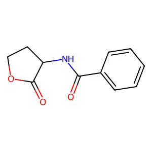 N-(Tetrahydro-2-oxo-3-furanyl)benzamide structure