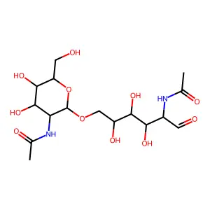 N-acetylglucosaminyl beta(1-6)N-acetylgalactosamine structure