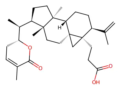 Schisanlactone E structure
