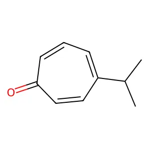 Nezukone structure