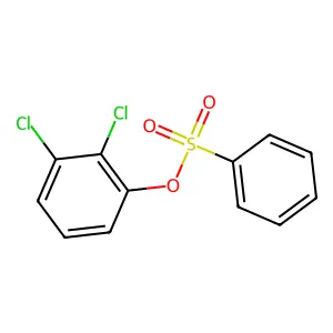 2,3-Dichlorophenyl benzenesulfonate structure