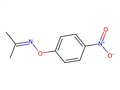 N-(4-nitrophenoxy)propan-2-imine structure