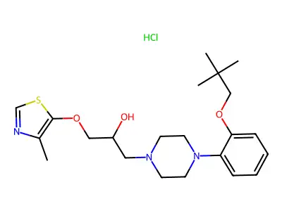 B 1562 structure