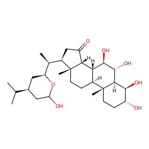 Pneumocort structure