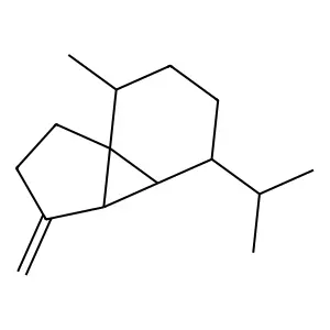 beta-Cubebene structure