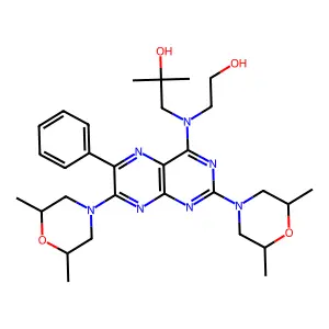 Bibw 22 structure