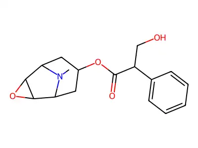 Boro-Scopol structure