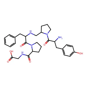 CM 2-3 structure
