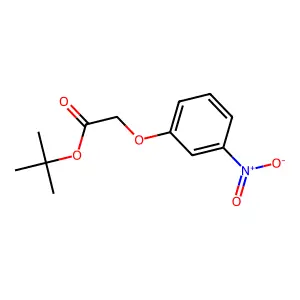 Tert-butyl 2-(3-nitrophenoxy)acetate structure