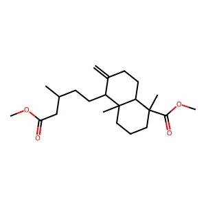 RefChem:356626 structure