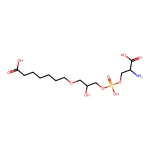 1-O-(6-carboxylhexyl)glycero-3-phosphoserine structure