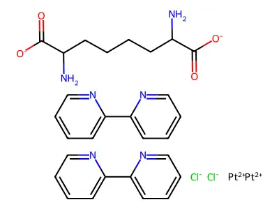 2,2'-bipyridine-alpha,alpha'-diaminosuberic acid platinum(II) structure