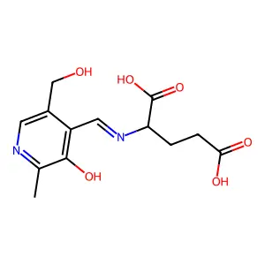 Pyridoxylideneglutamate structure