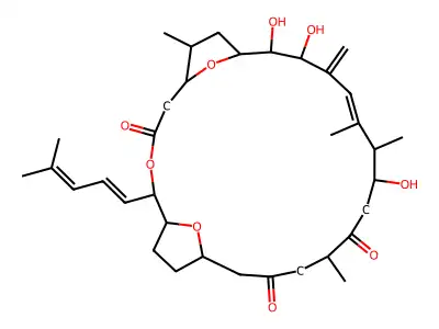 Amphidinolide F structure