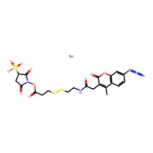 2-Saed structure