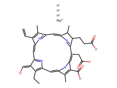 Chlorophyllin b structure