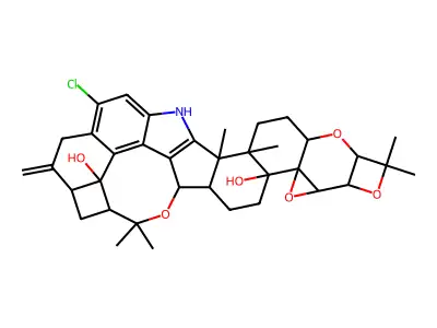 Pennigritrem structure