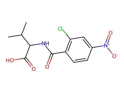 2-[(2-Chloro-4-nitrophenyl)formamido]-3-methylbutanoic acid structure