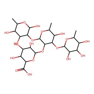 Capsular polysaccharide K98 structure