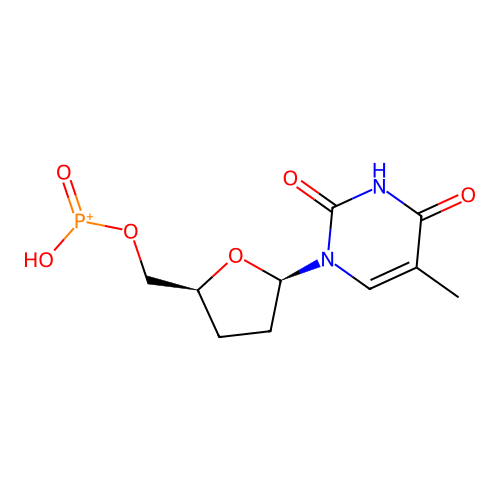 ddT-HP structure