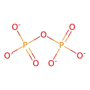 焦磷酸盐 structure