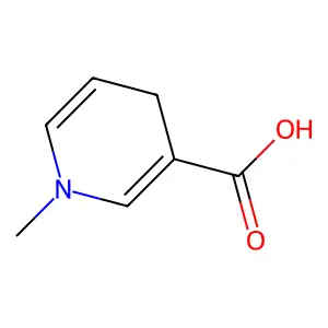 1,4-Dihydrotrigonelline structure