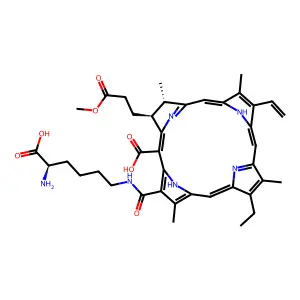 Lysyl chlorin p6 structure